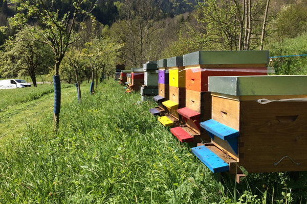 Produits et matériel d'apiculture